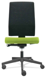 Dossier r�sille vue de face